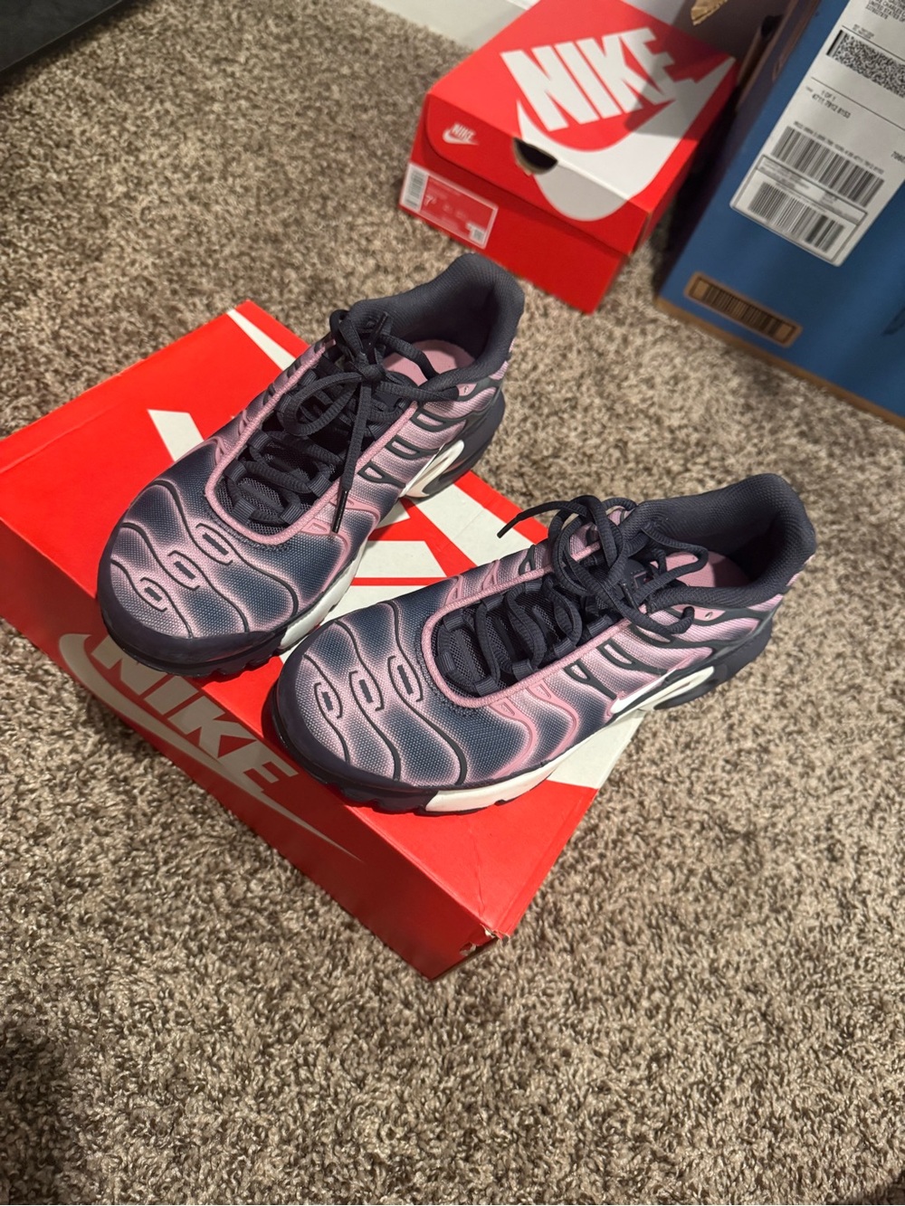 Nike Air Max Plus Pink and Black Gradient Running Shoes